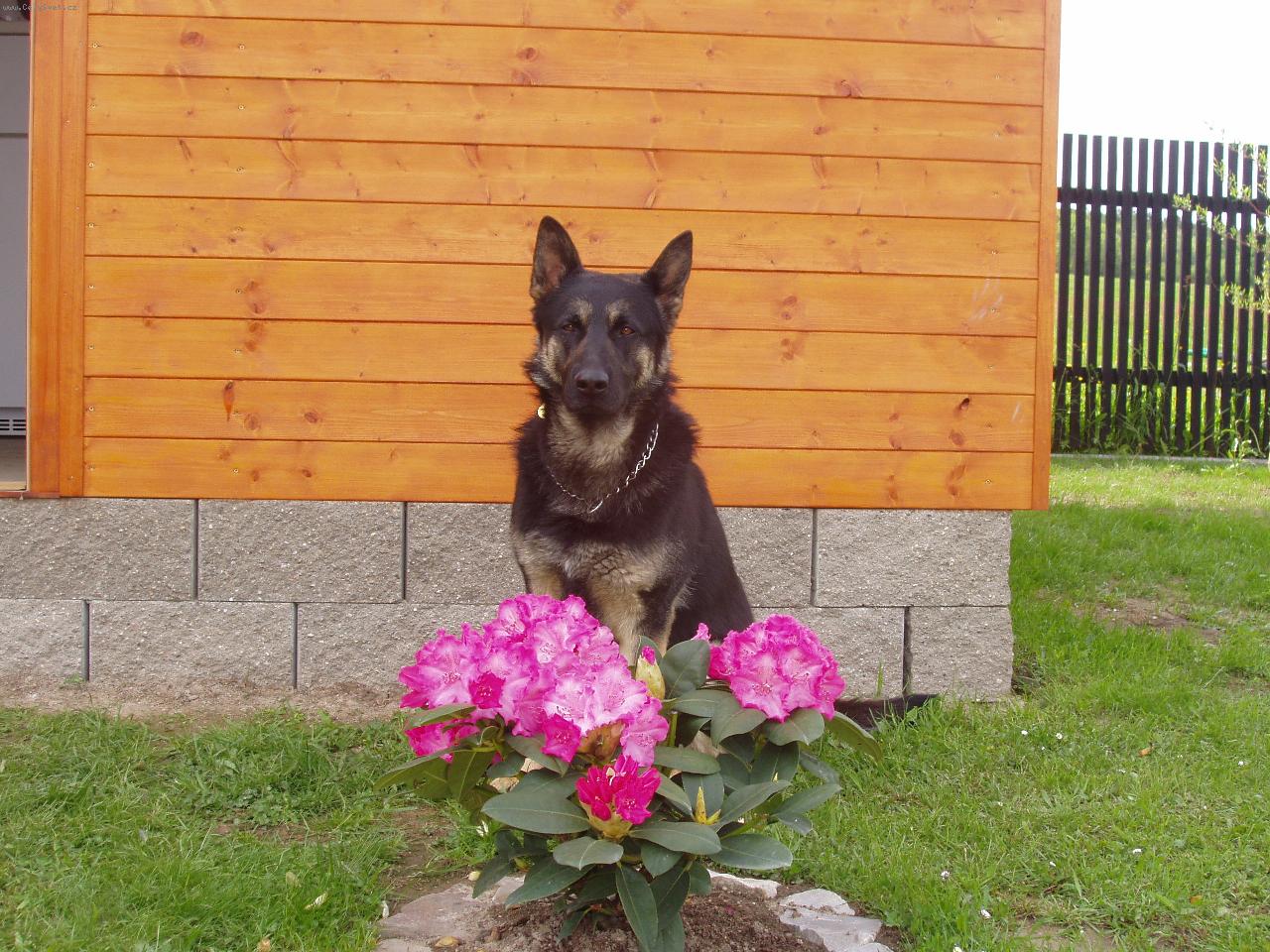 Foto: Bak