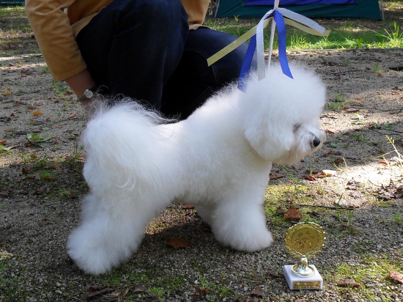 Foto: Savinka