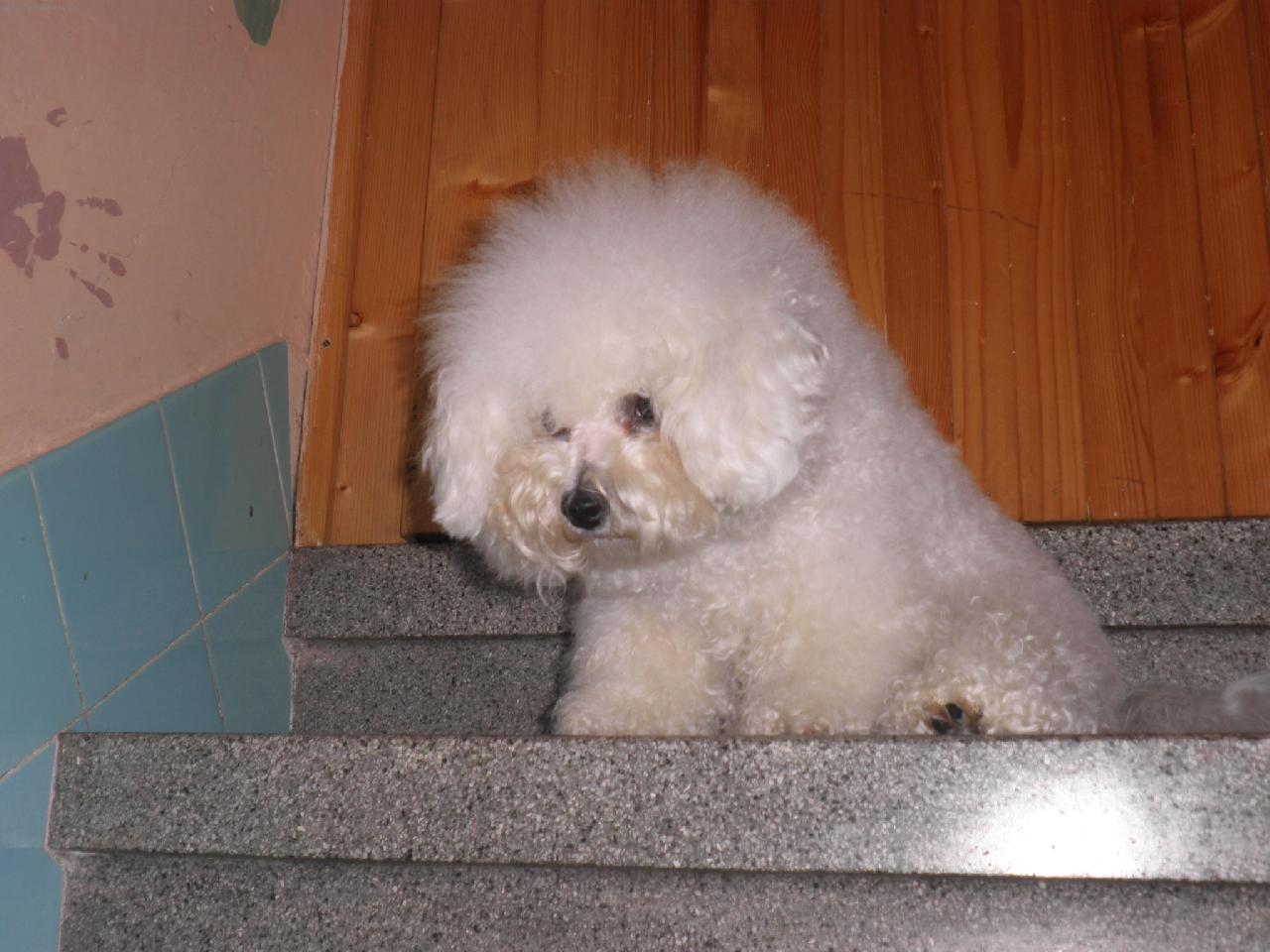 Foto: Savinka