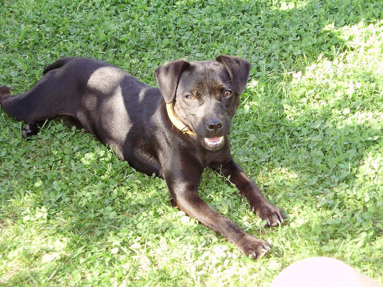 Foto: Akina