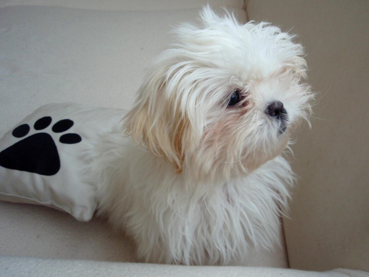Foto: Zasn�n� Tinka