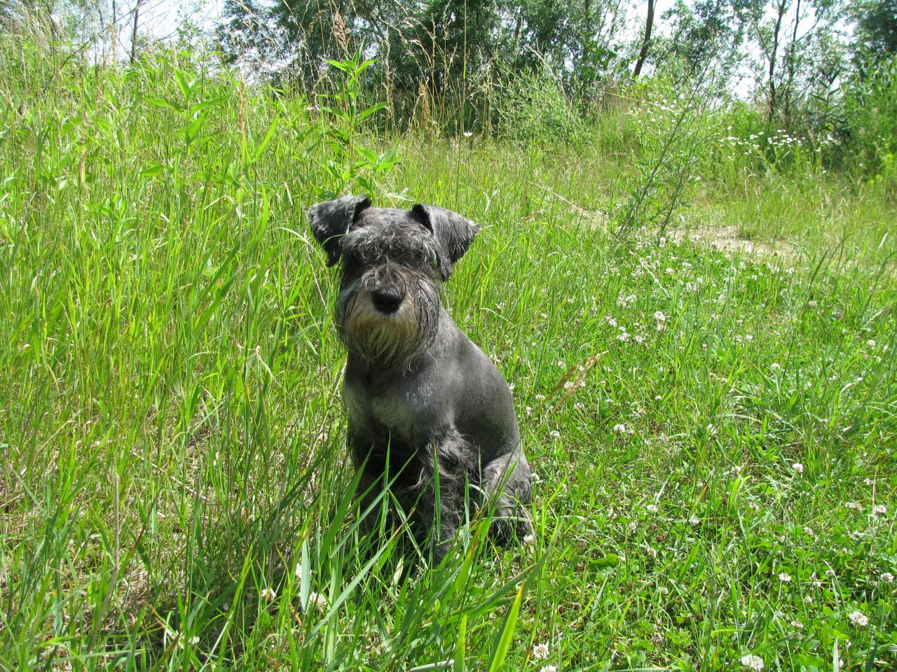 Foto: Maya