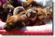Pin�� miminka