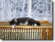 odpo�inek