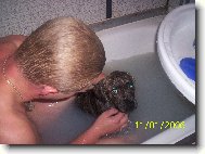 Osk�rek