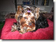odpo�inek