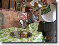 M�tov� �aj