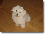 na�e Keysi