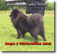 Angie z Vl�kovsk�ho �dol�
