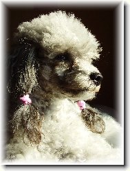 miss M�a