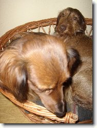 na�e holky