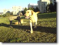 B�ra