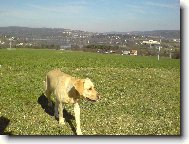velk� v�b�h v Bystrci