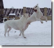S m�mou nen� nikdy nuda!