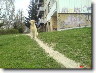 Vyhl��