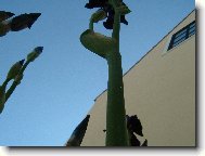 jsou dlouh�