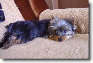 Odpo�inek