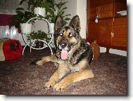 Ag�ta
