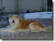M�j nejlep�� kamar�d