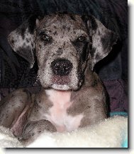 a to je na�a Roxy