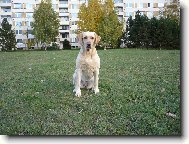 B�ra