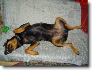 na�e kesi