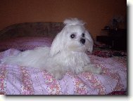 S�ra