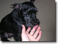 Kn�ra� Charlie