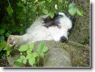odpo�inek