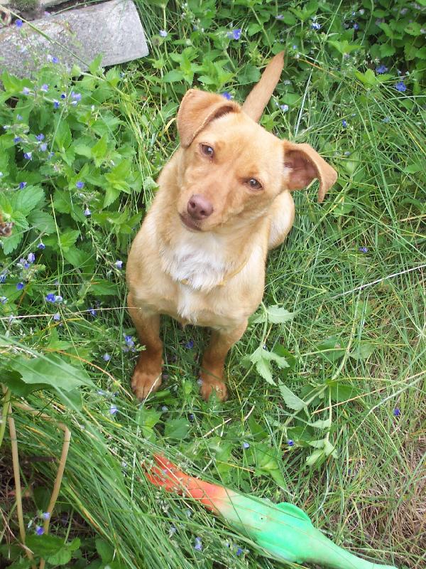 Foto: Rezi kuk..