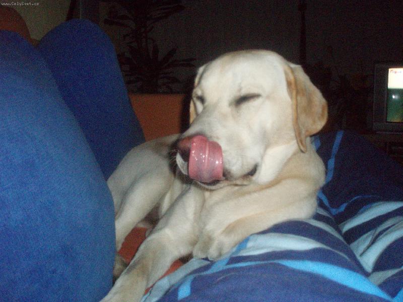 Foto: SAM-mnam