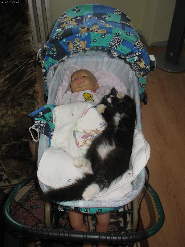 Foto: Mimi