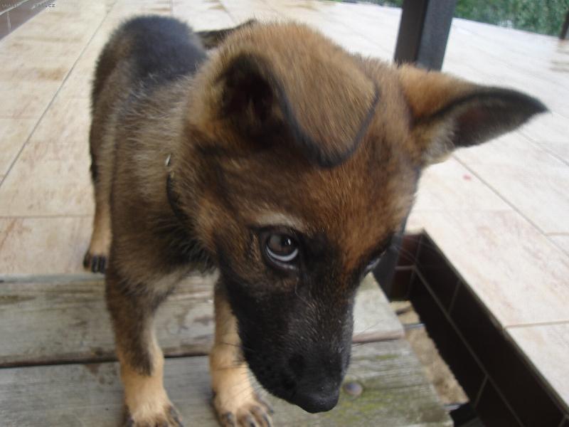 Foto: Lara