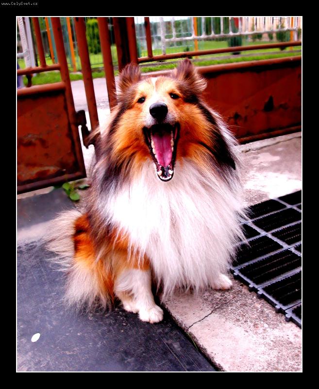 Foto: Filipek =))