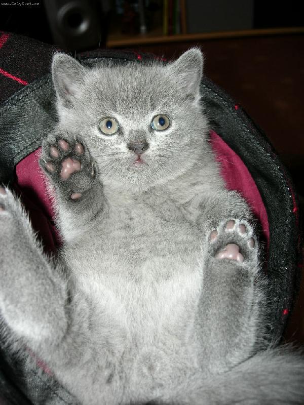 Foto: Debbie-Debbie
