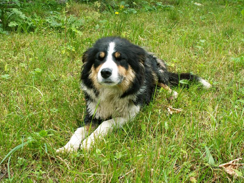 Foto: Bibina