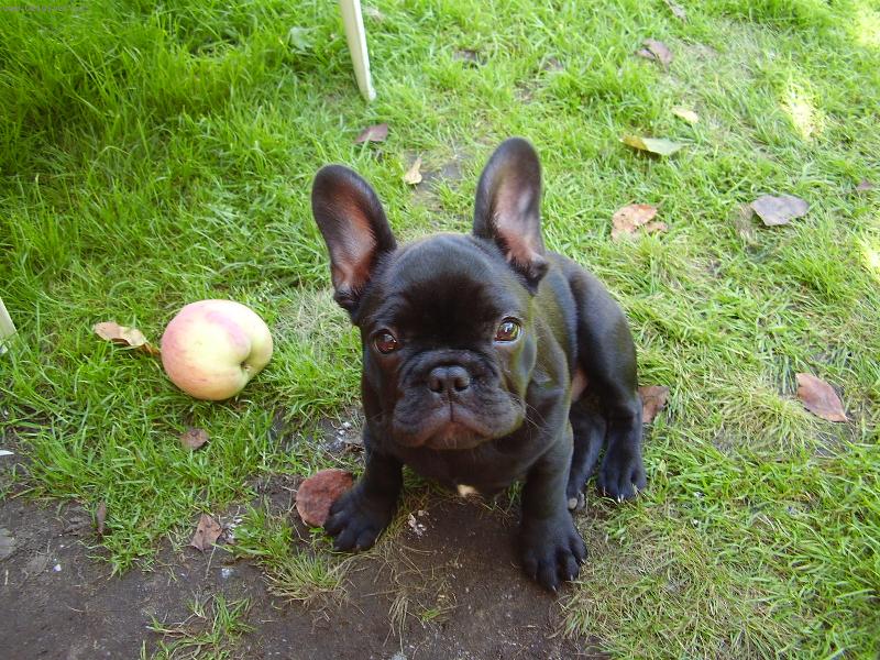 Foto: Lucky