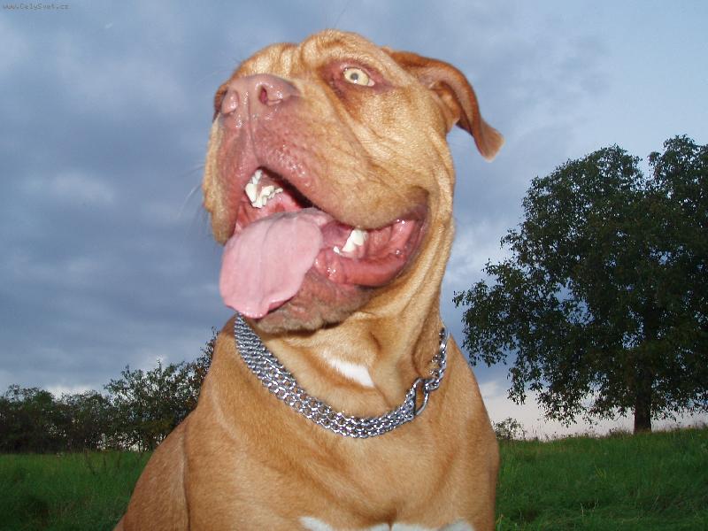 Foto: Samira