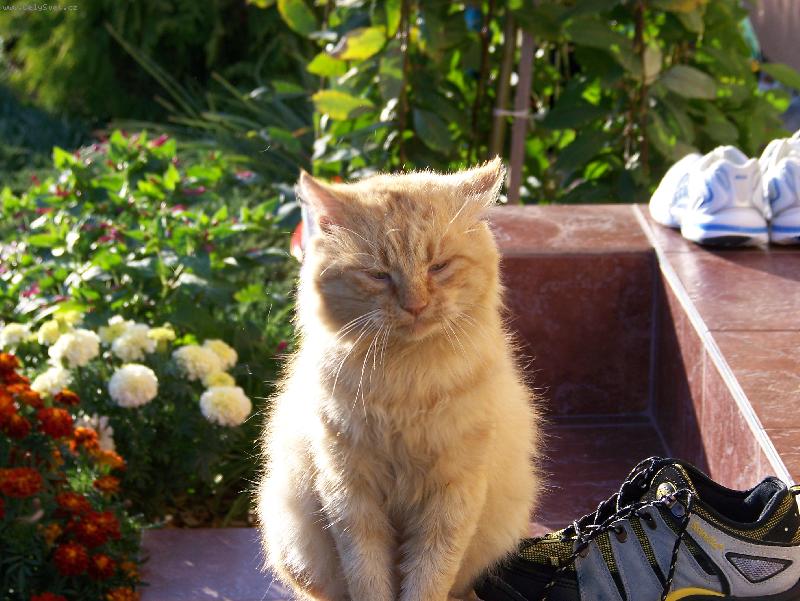 Foto: fel��ek