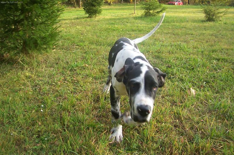 Foto: Bubi