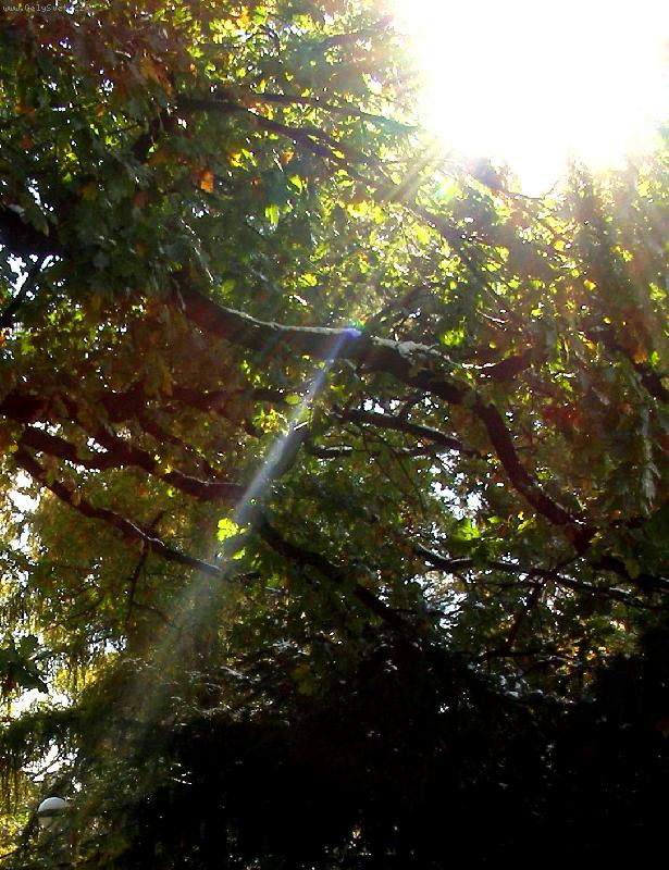 Foto: Sunshine