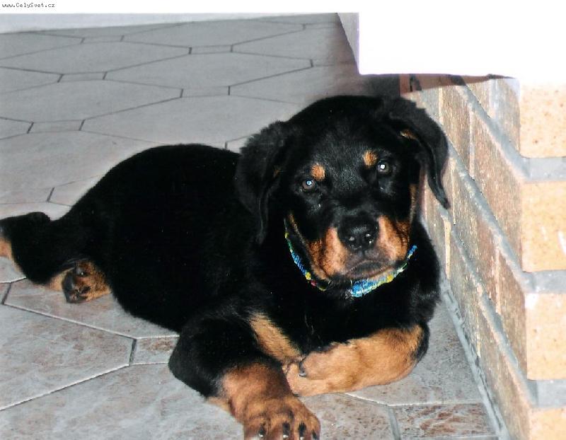 Foto: Jack