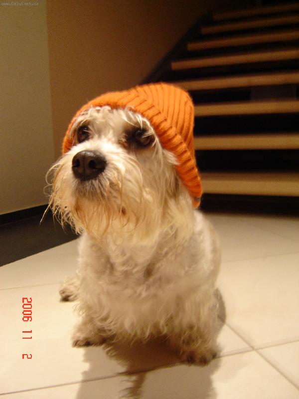 Foto: Mistr DJ