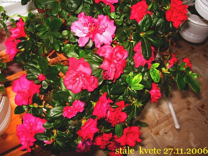Foto: Na zimu mus� dom�