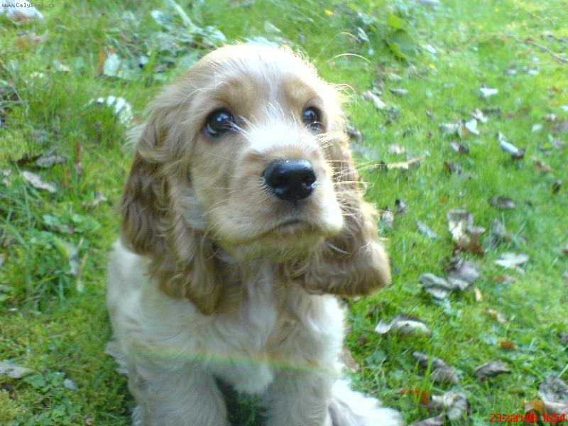 Foto: charlie