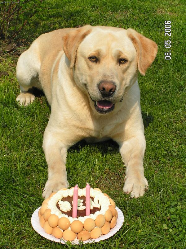 Foto: Benny-narozky