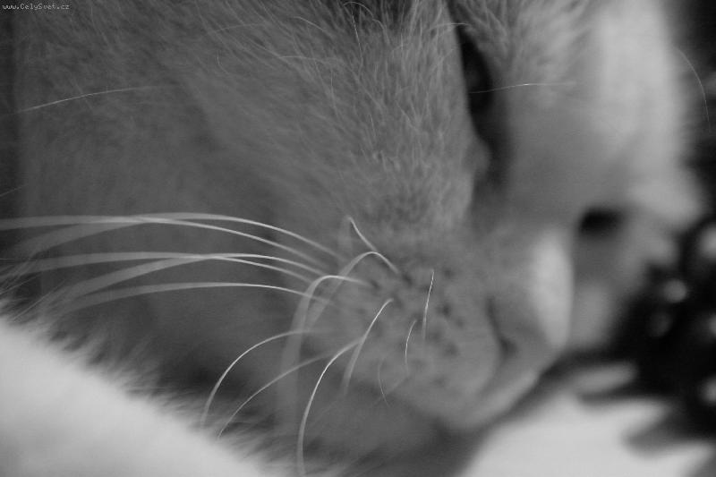Foto: us�n�me