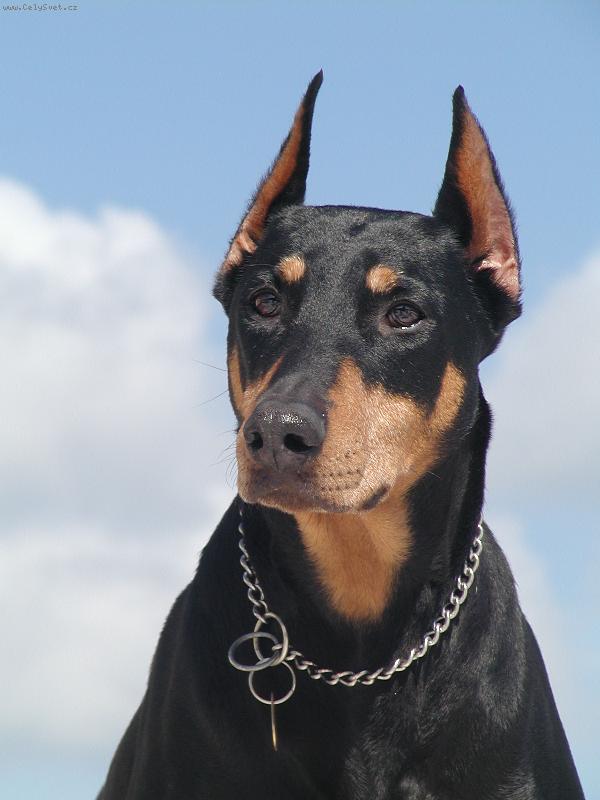 Foto: Modelka