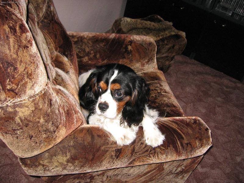 Foto: MAZL�K BADY