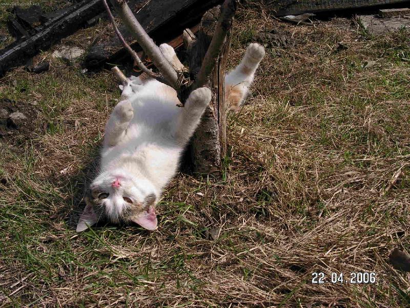 Foto: Micka